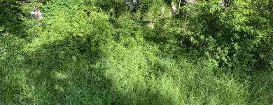 Business 9 image YARD SHARKS Mulch Installation in Weatherford TX