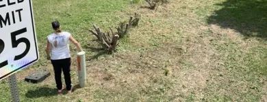 Business 13 image YARD SHARKS Mulch Installation in Weatherford TX