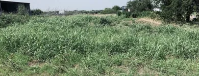 Business 17 image YARD SHARKS Mulch Installation in Weatherford TX