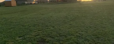 Business 20 image YARD SHARKS Mulch Installation in Weatherford TX