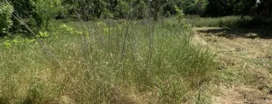 Business 23 image YARD SHARKS Mulch Installation in Weatherford TX