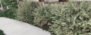 Business 24 image YARD SHARKS Mulch Installation in Weatherford TX