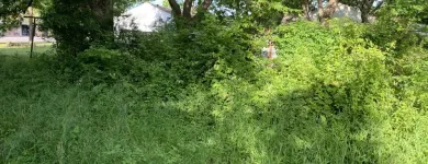 Business 25 image YARD SHARKS Mulch Installation in Weatherford TX