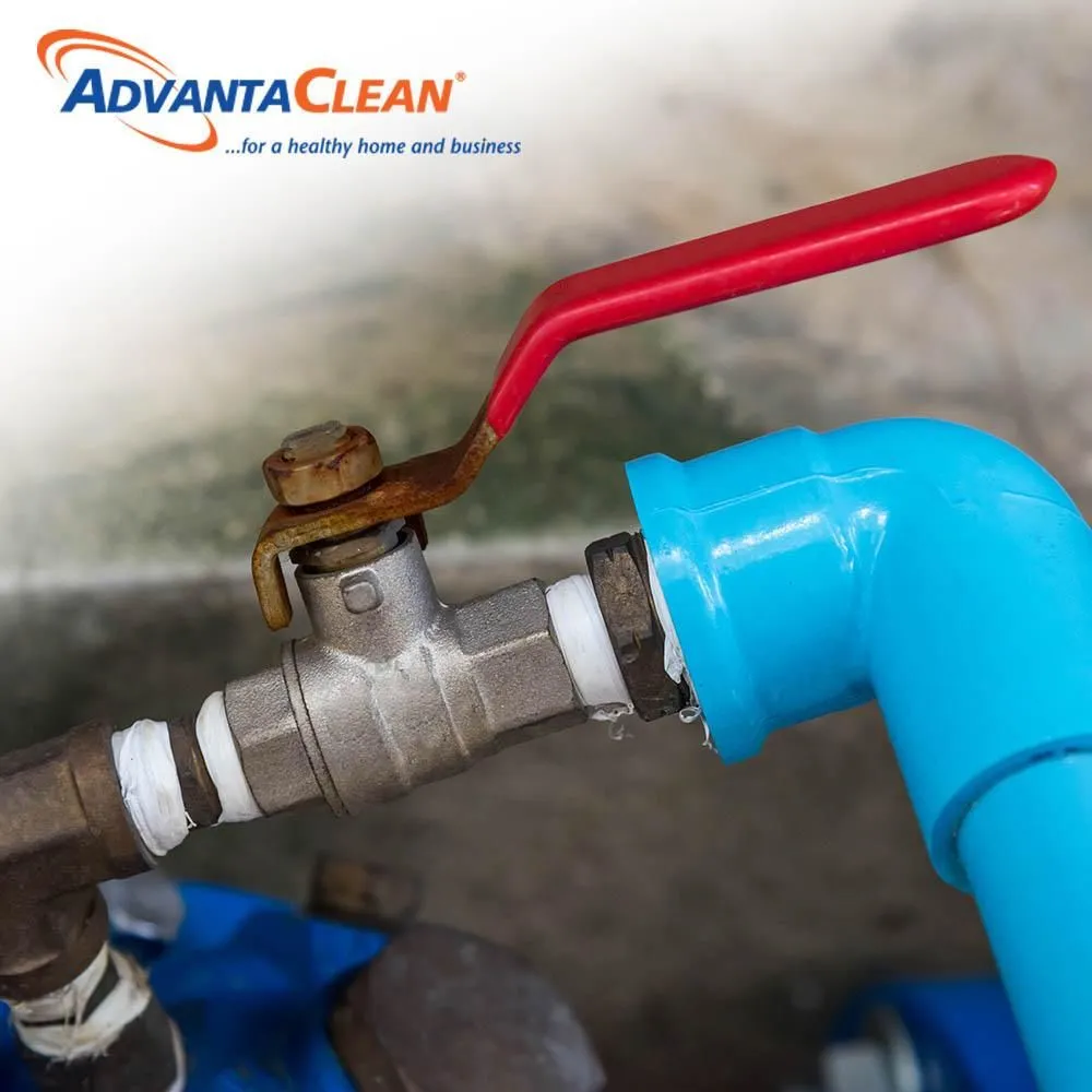 Business 1 image ADVANTACLEAN OF SOUTHWEST MINNEAPOLIS