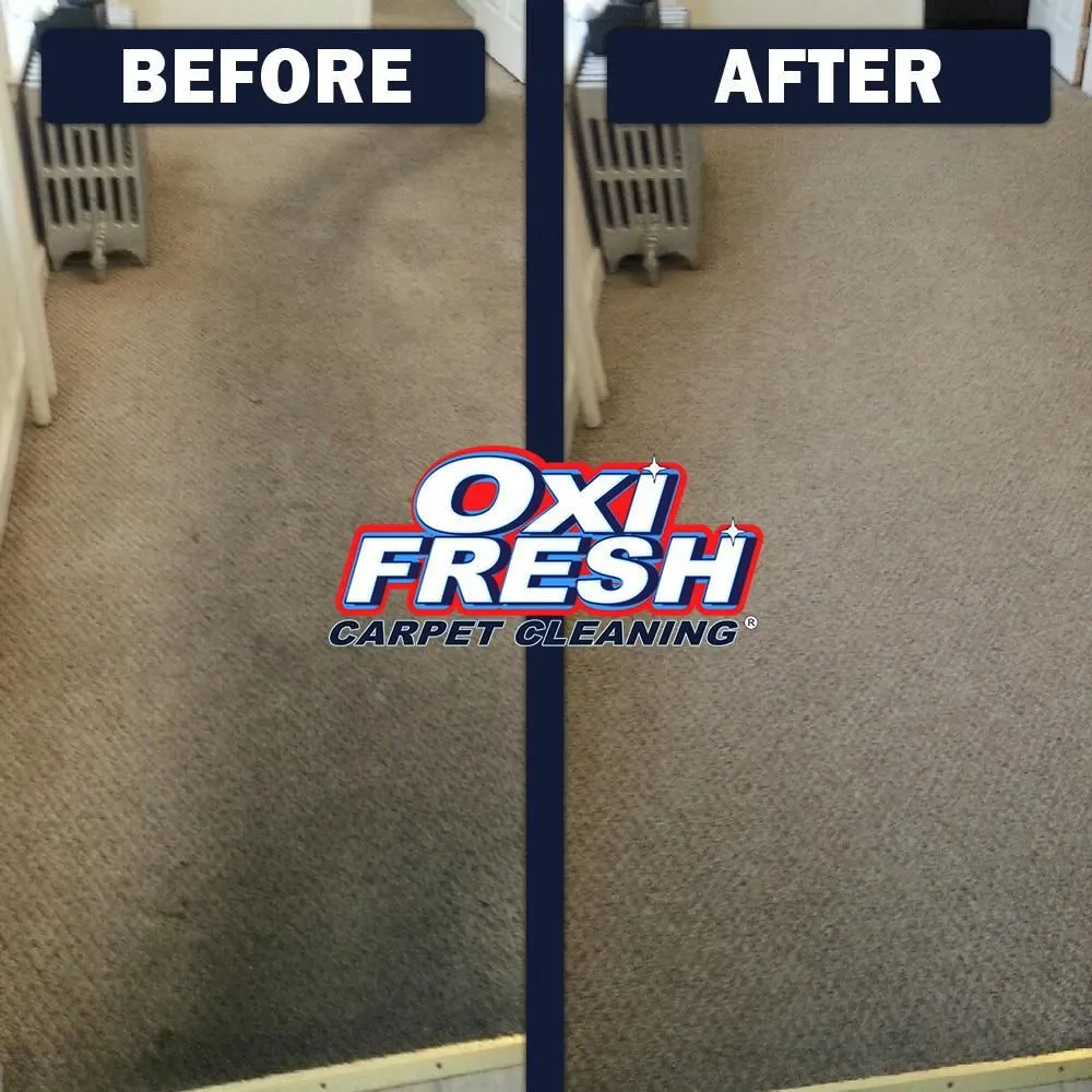 Business 1 image OXI FRESH CARPET CLEANING