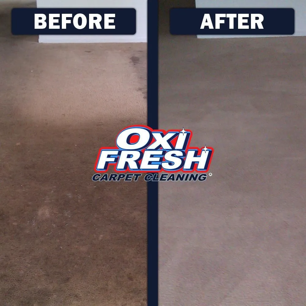 Business 3 image OXI FRESH CARPET CLEANING