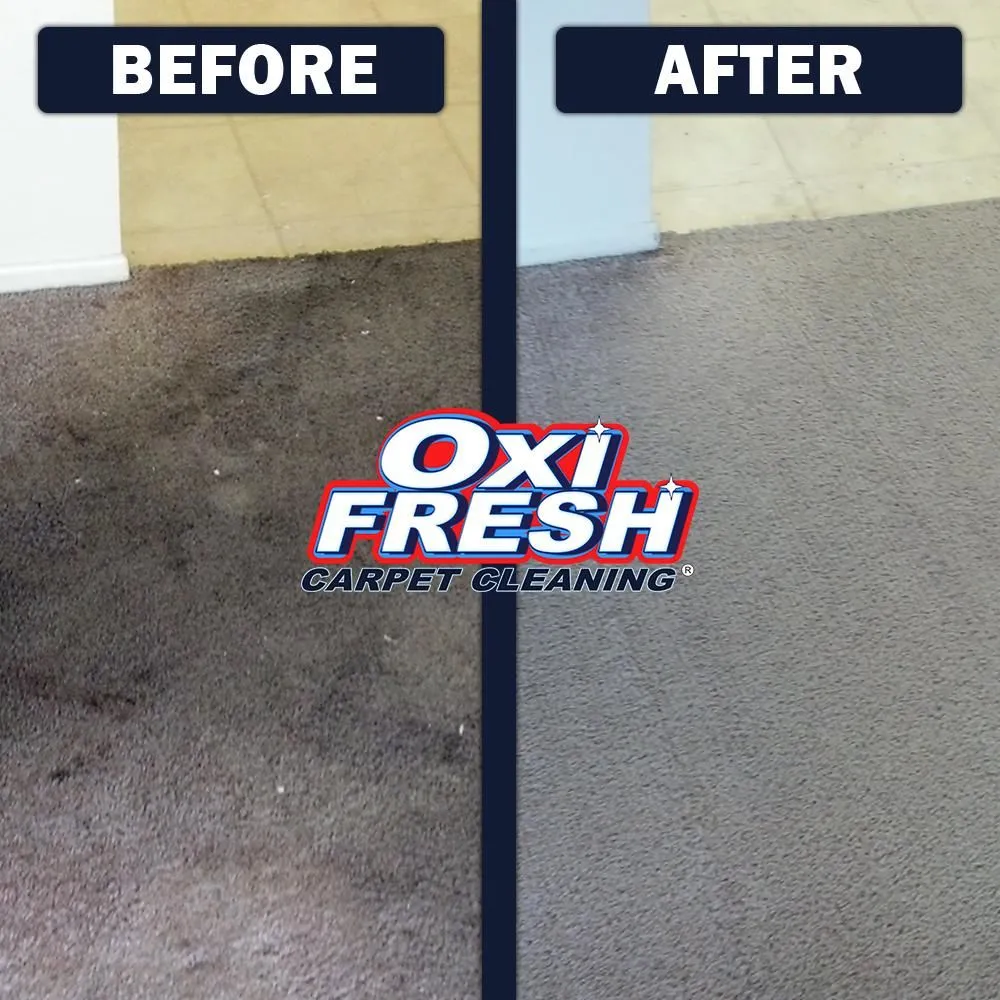 Business 9 image OXI FRESH CARPET CLEANING