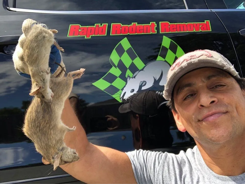 Business 21 image RAPID RODENT REMOVAL