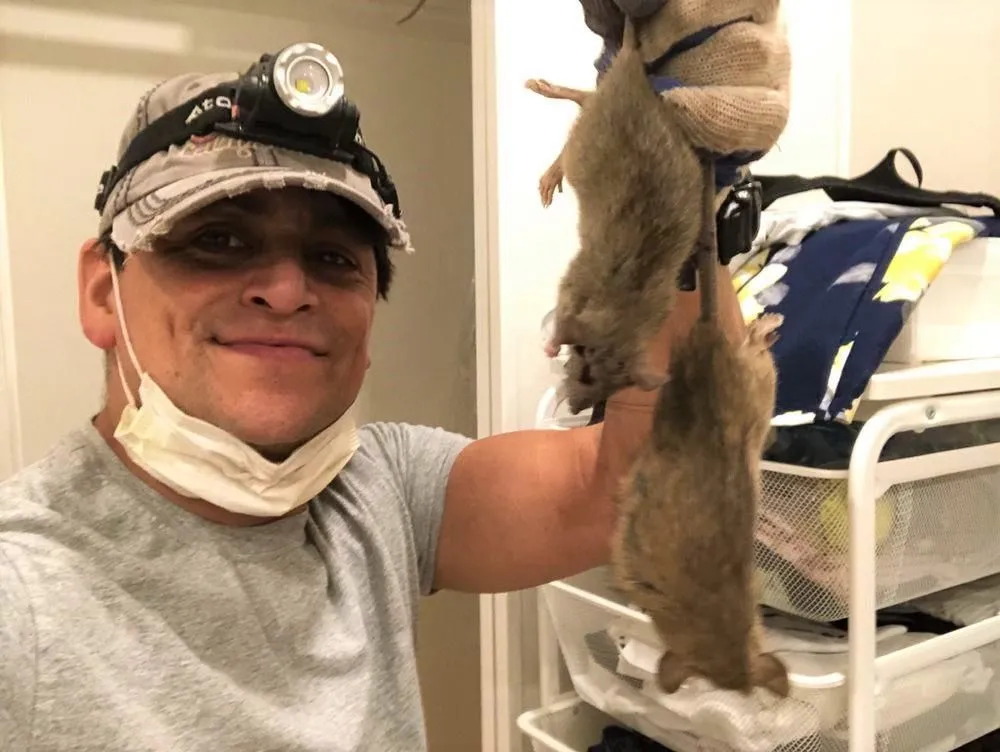 Business 14 image RAPID RODENT REMOVAL