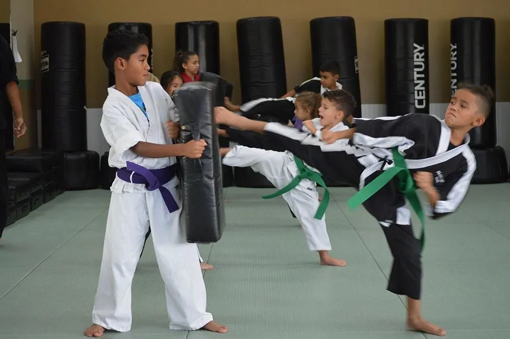 Business 1 image CHAMPIONSHIP MARTIAL ARTS - CURRY FORD