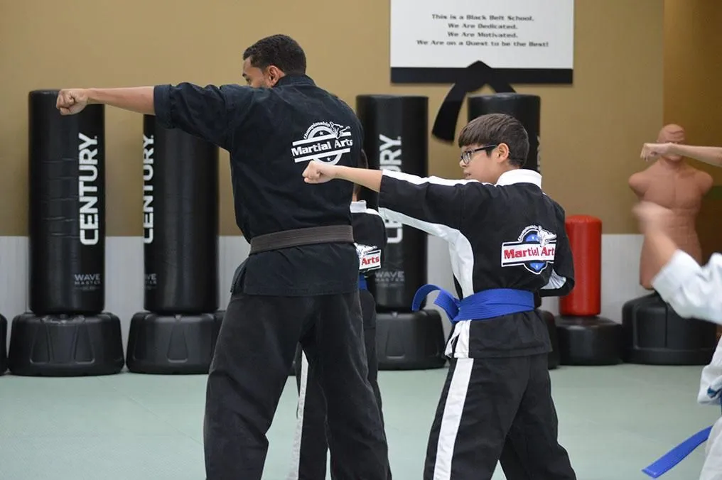 Business 2 image CHAMPIONSHIP MARTIAL ARTS - CURRY FORD