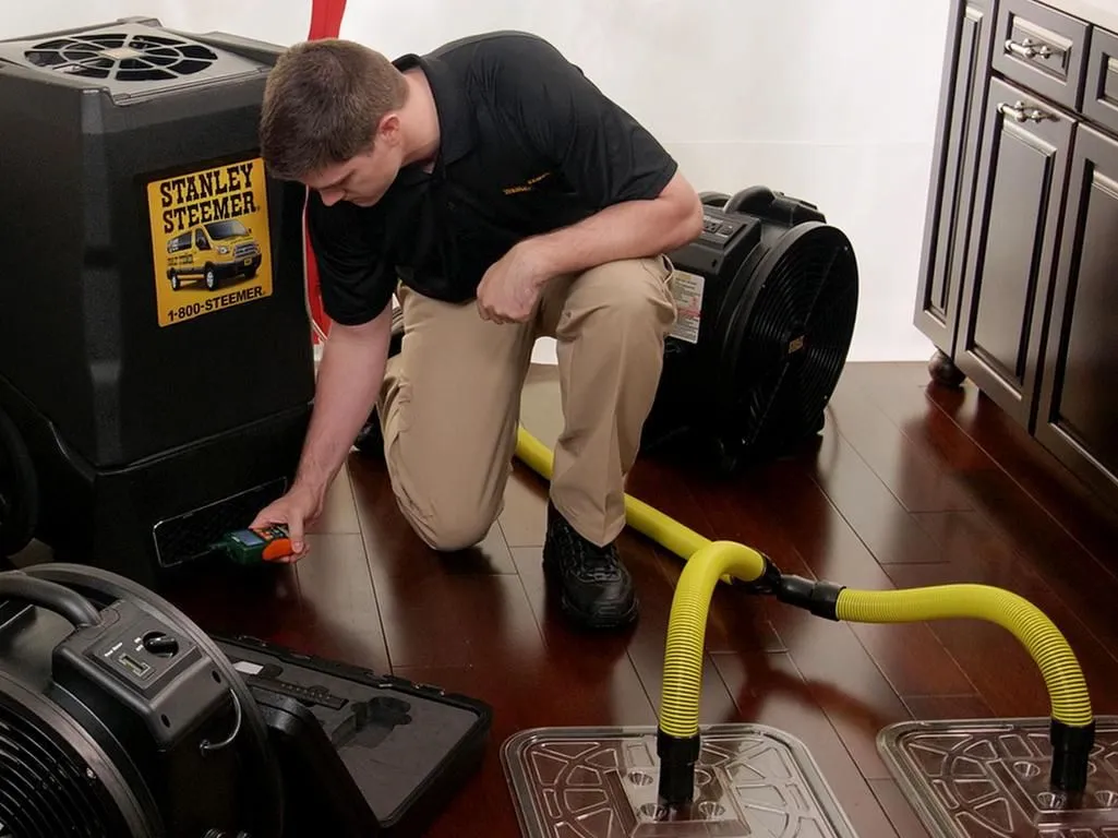 Business 45 image STANLEY STEEMER