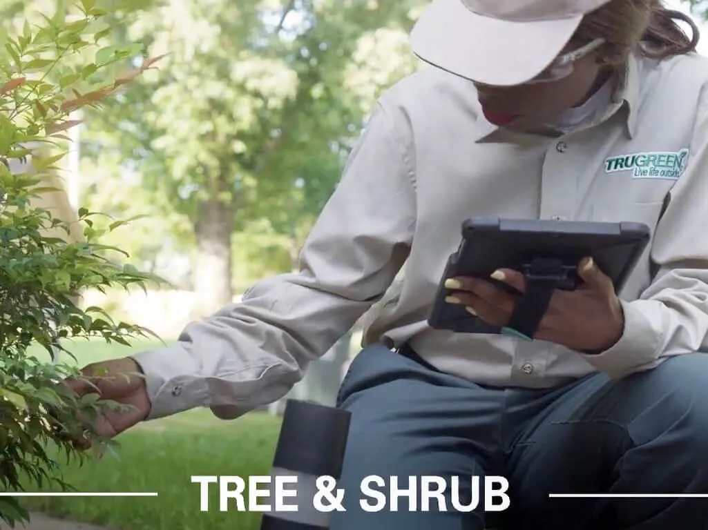 Business 1 image TRUGREEN LAWN CARE