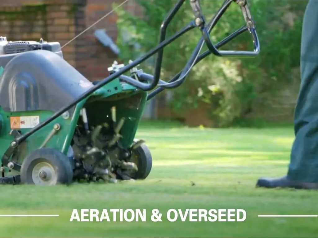 Business 3 image TRUGREEN LAWN CARE