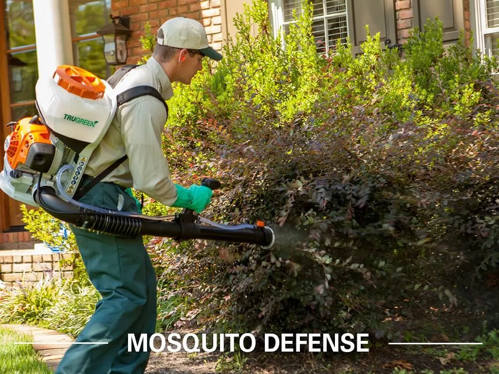 Business 4 image TRUGREEN LAWN CARE