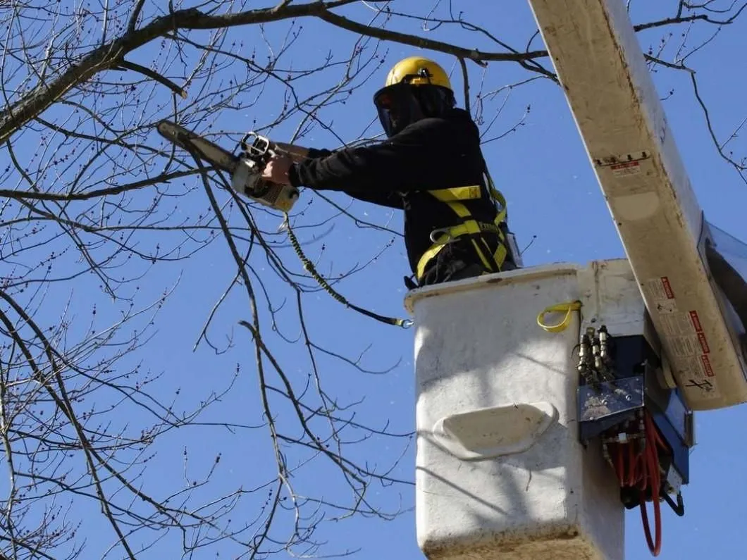 Business 1 image ALLEN CONSTRUCTION AND TREE SERVICE, LLC