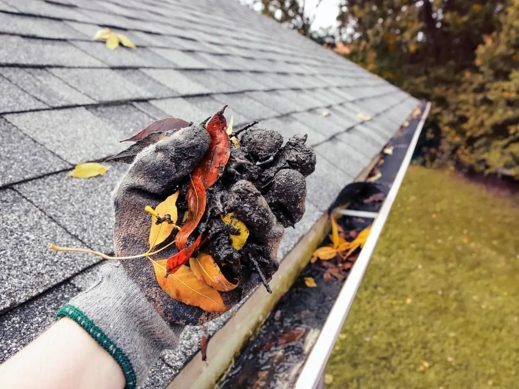 Business 2 image ALLEN CONSTRUCTION AND TREE SERVICE, LLC
