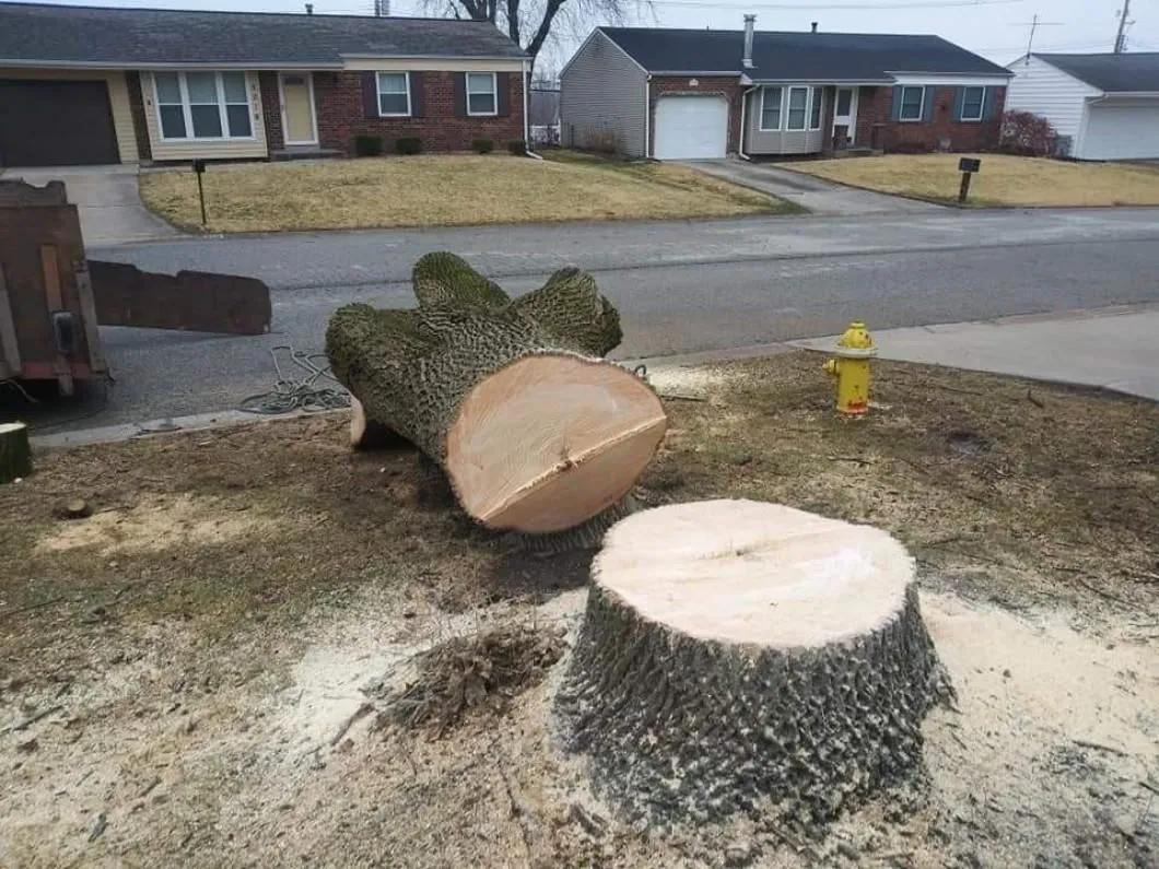 Business 9 image ALLEN CONSTRUCTION AND TREE SERVICE, LLC