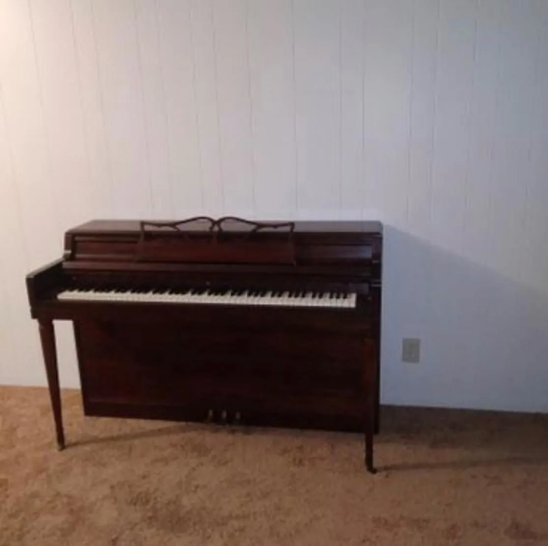 Business 3 image EASY PRO LABOR