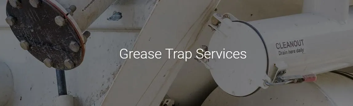 Business 4 image WATSON ROOTER