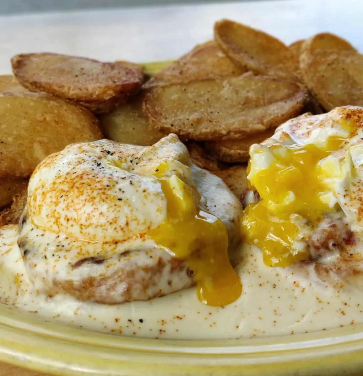 Business 2 image ALKI CAFE