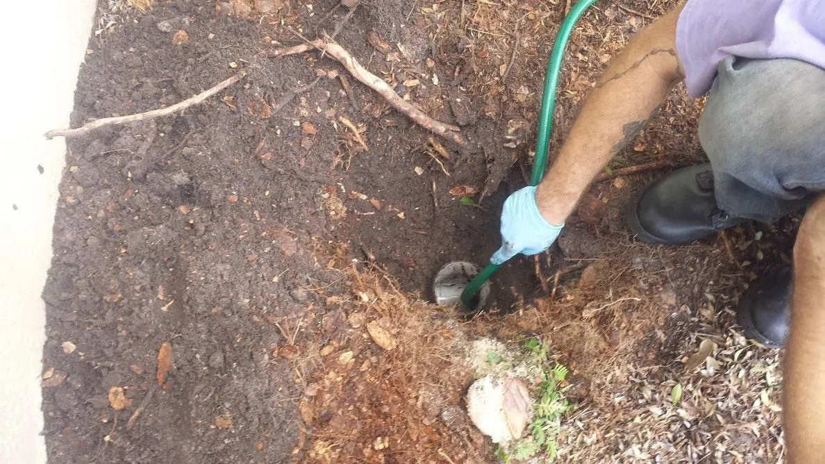 Business 2 image DRAIN GENIE PLUMBING SERVICES