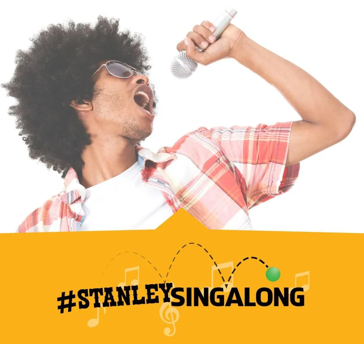 Business 33 image STANLEY STEEMER