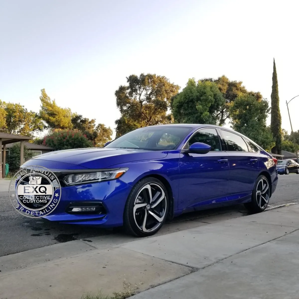 Business 10 image EXQ CAR DETAILING