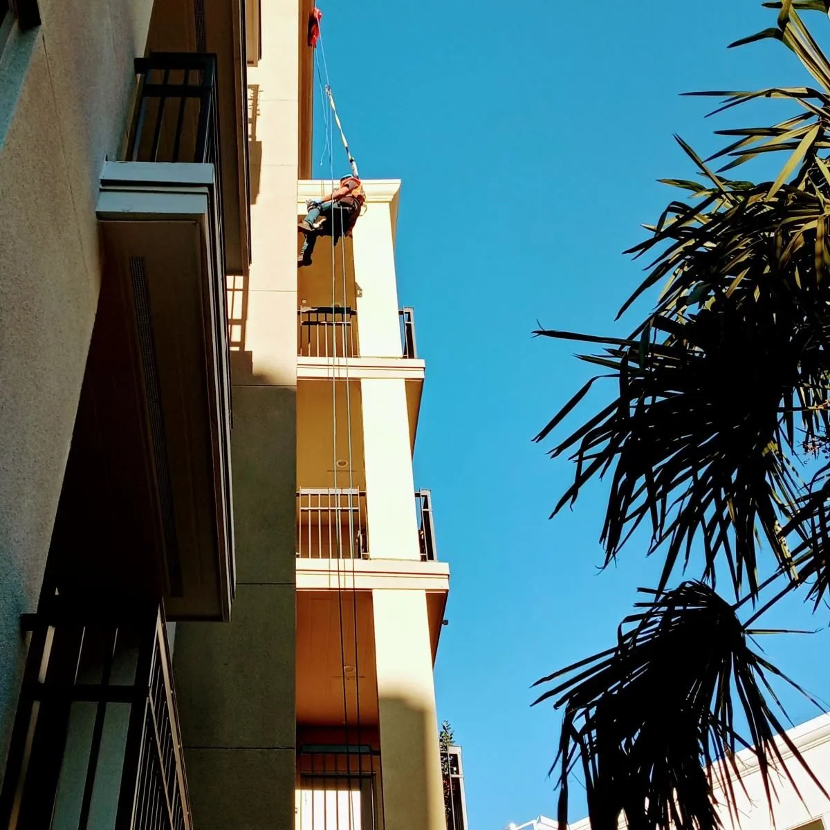 Business 37 image EAGLE WINDOW CLEANING