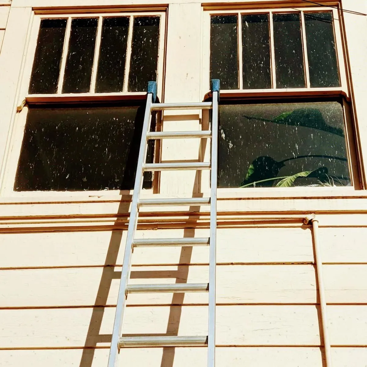 Business 38 image EAGLE WINDOW CLEANING