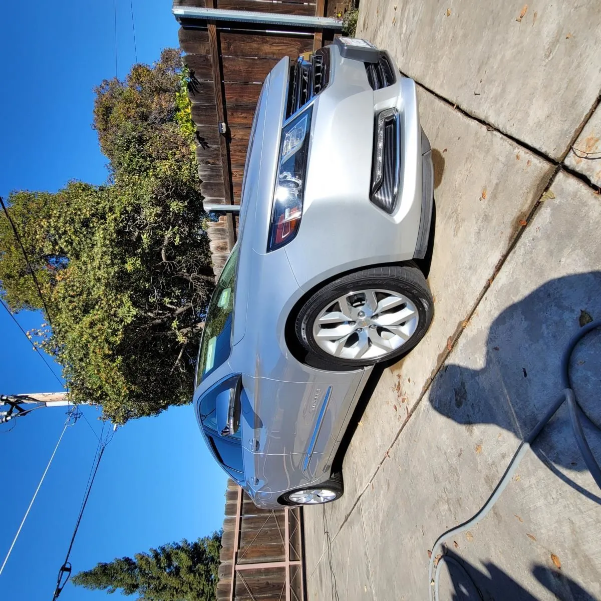 Business 28 image EXQ CAR DETAILING