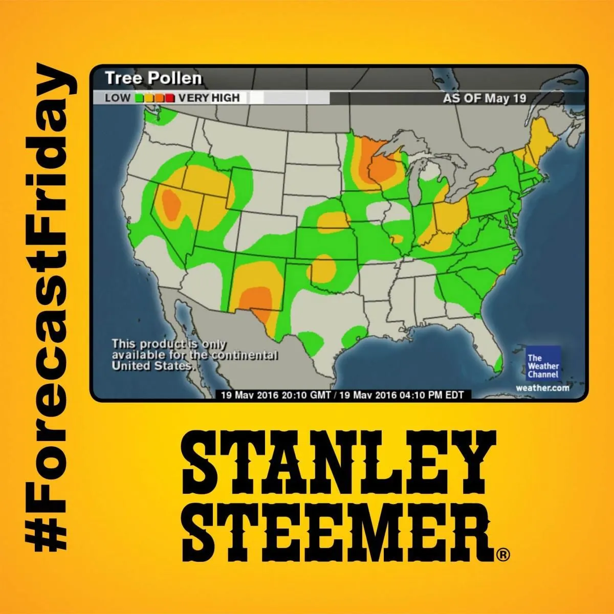 Business 6 image STANLEY STEEMER