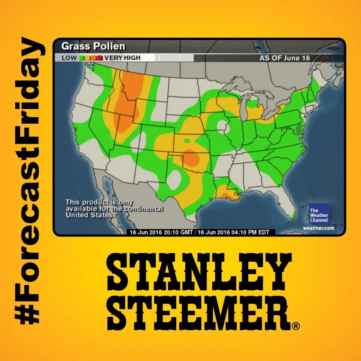 Business 9 image STANLEY STEEMER