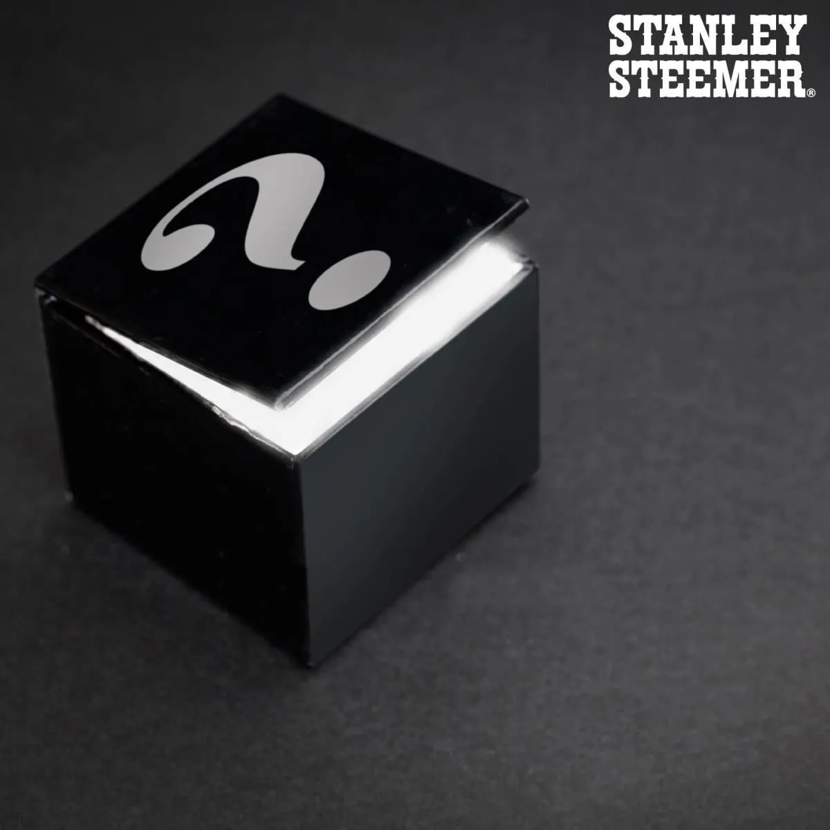 Business 8 image STANLEY STEEMER