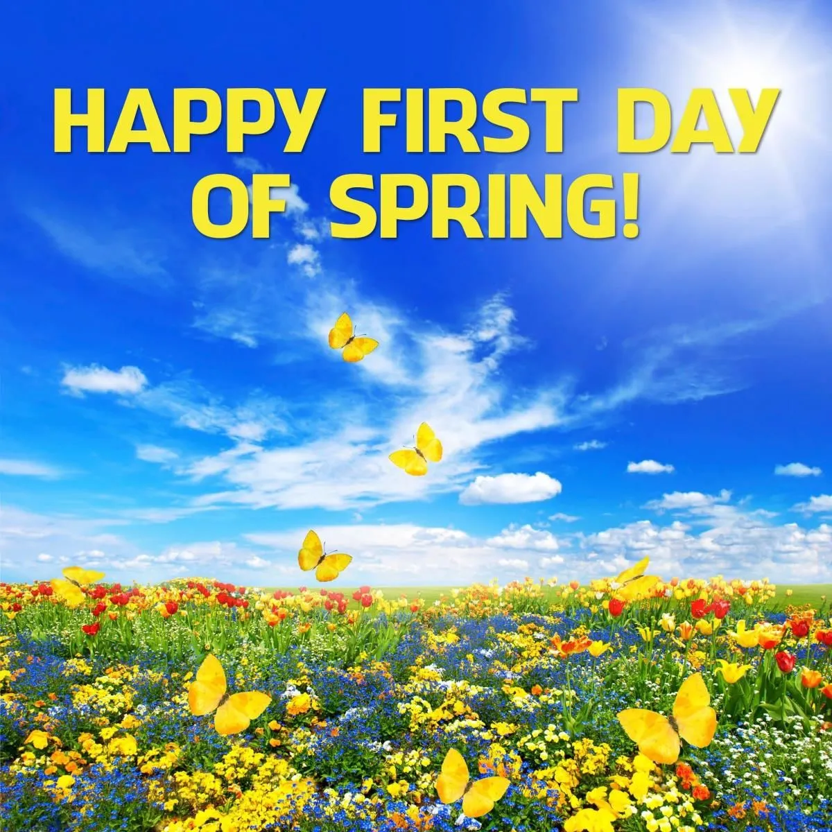 Business 9 image STANLEY STEEMER