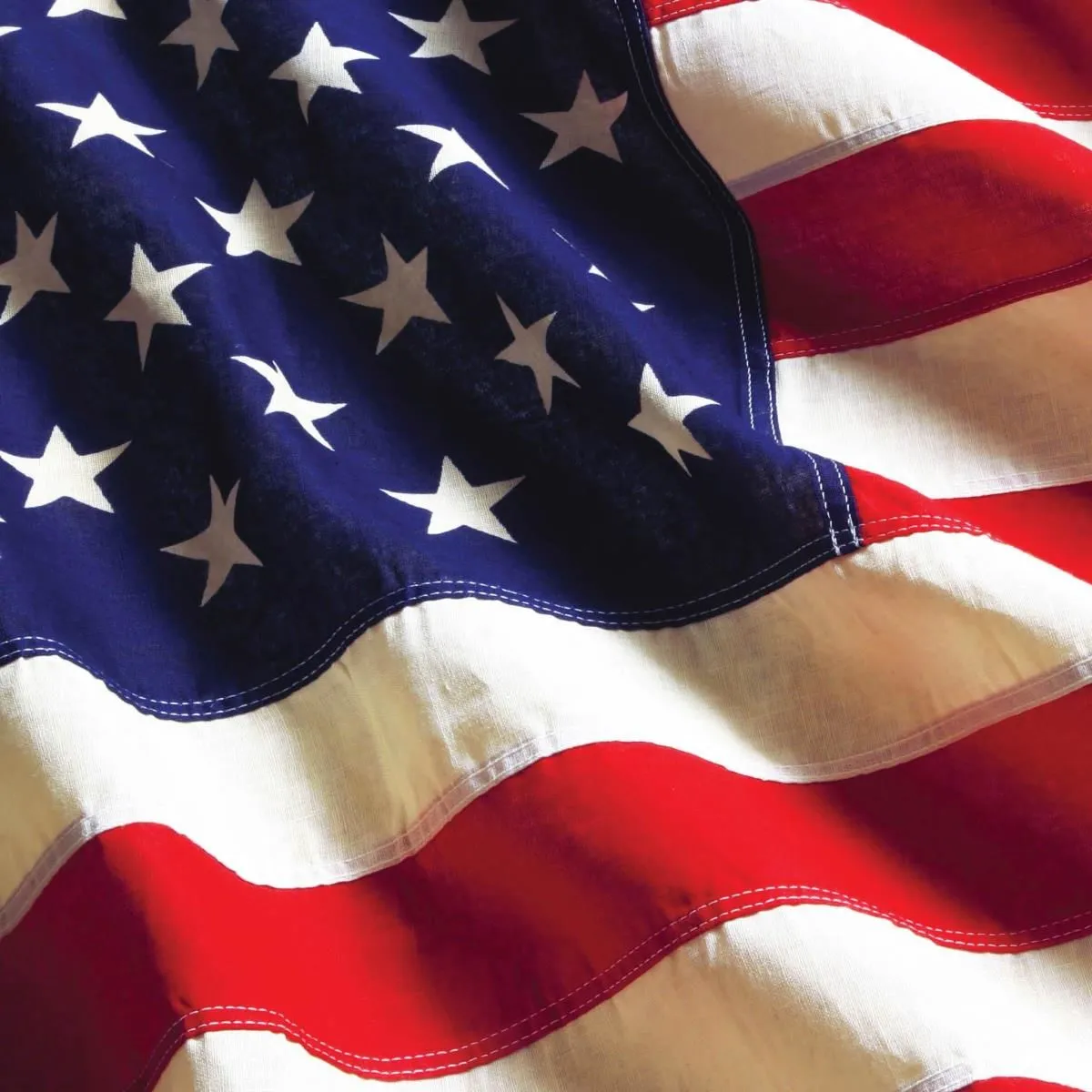 Business 13 image STANLEY STEEMER