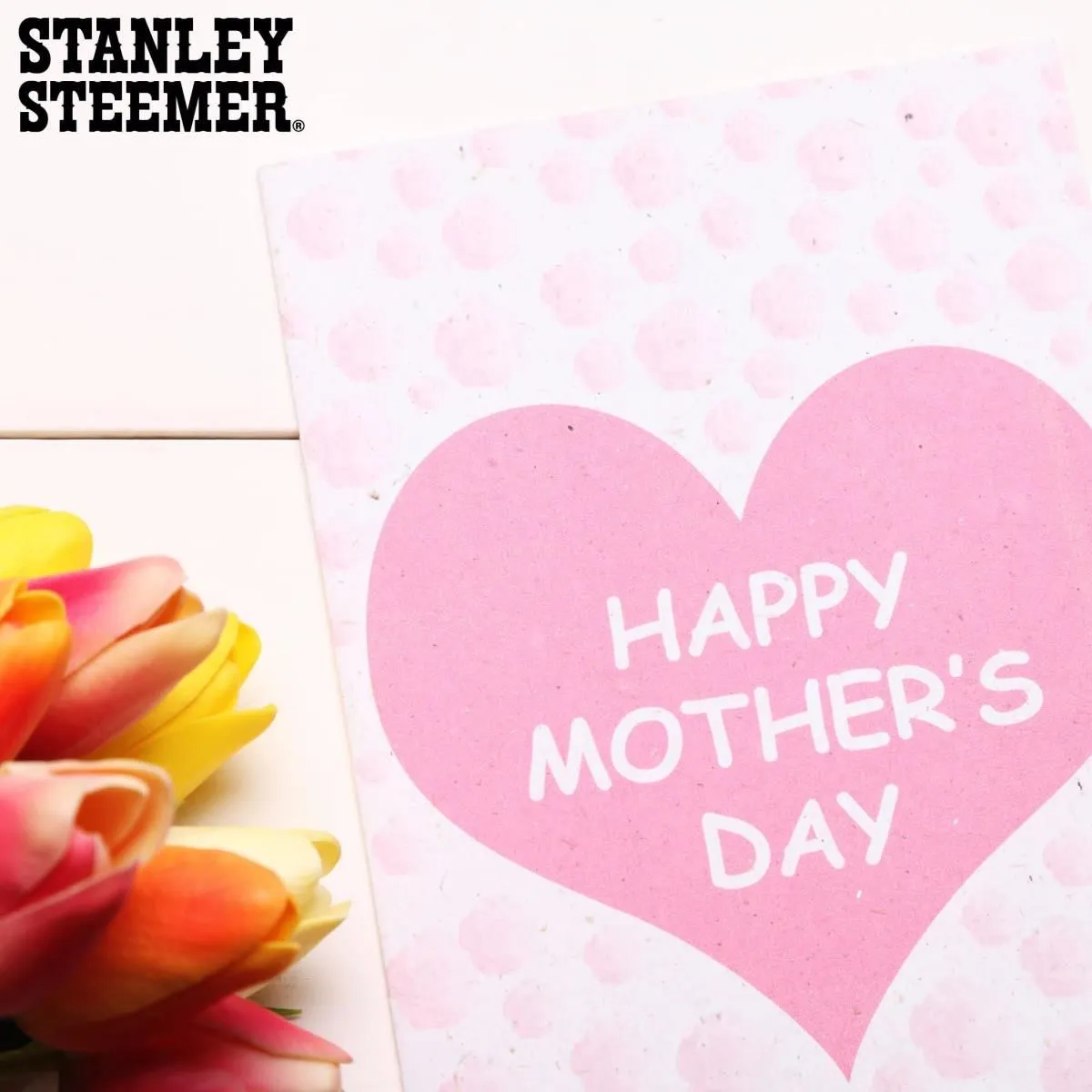 Business 15 image STANLEY STEEMER