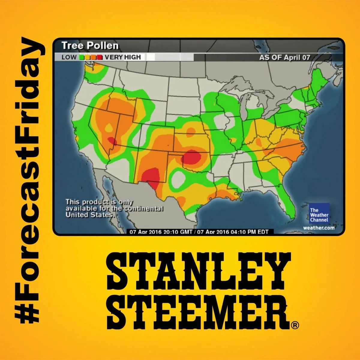 Business 17 image STANLEY STEEMER