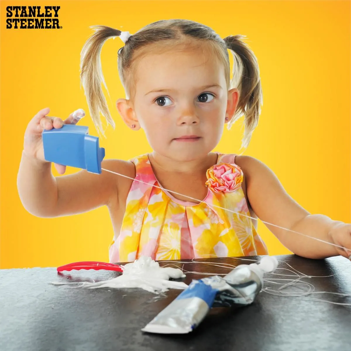 Business 39 image STANLEY STEEMER