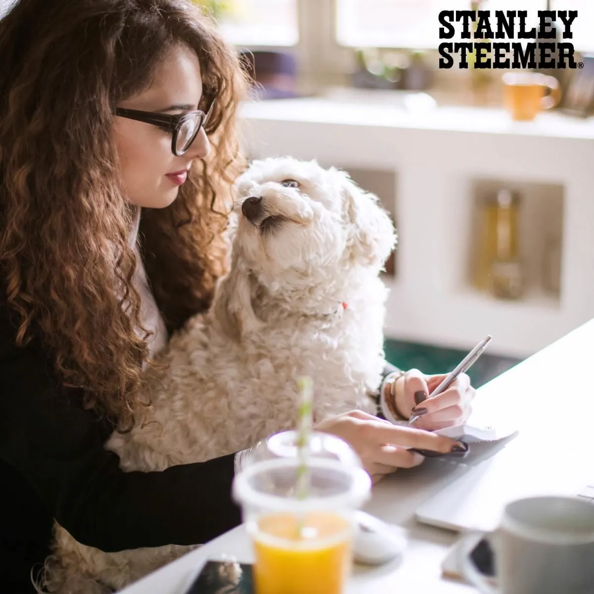 Business 62 image STANLEY STEEMER