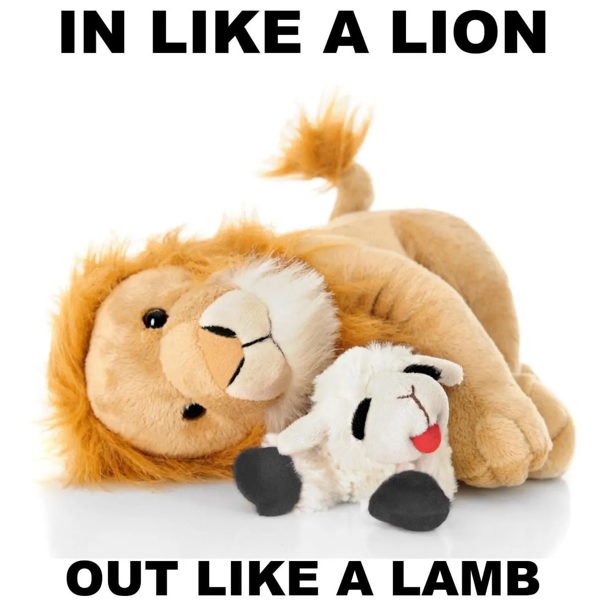 Business 69 image STANLEY STEEMER