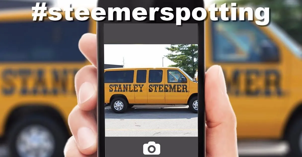 Business 37 image STANLEY STEEMER