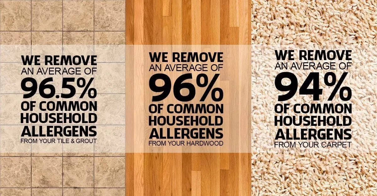 Business 53 image STANLEY STEEMER