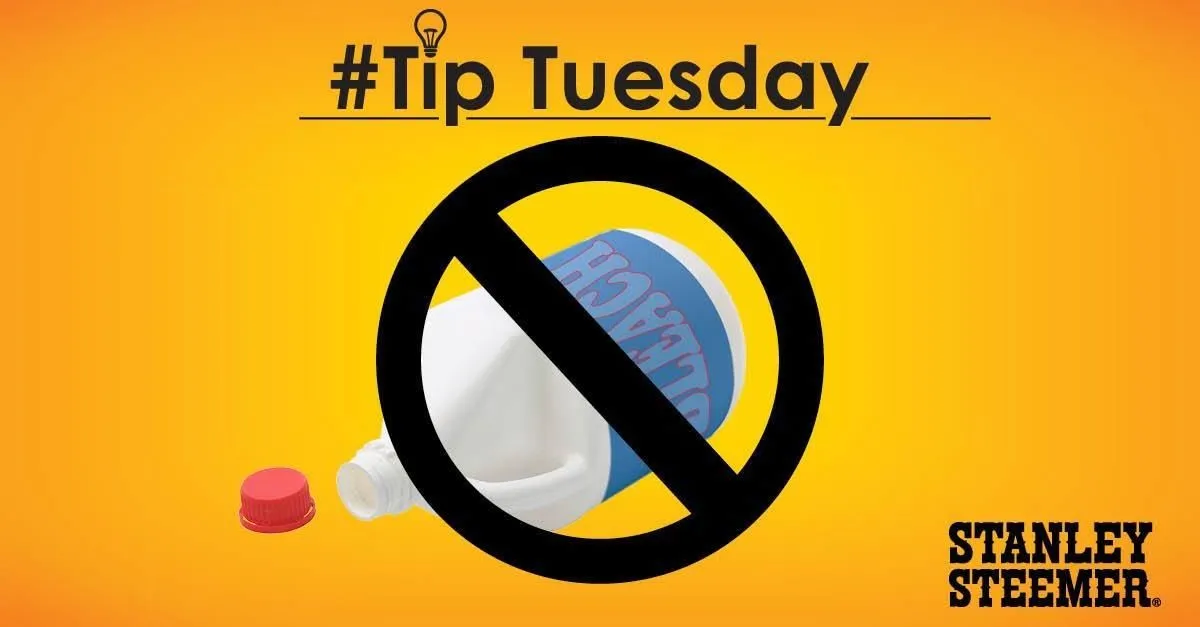 Business 2 image STANLEY STEEMER