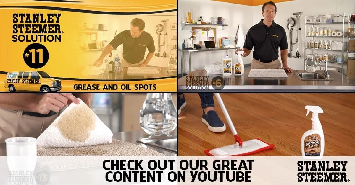 Business 11 image STANLEY STEEMER