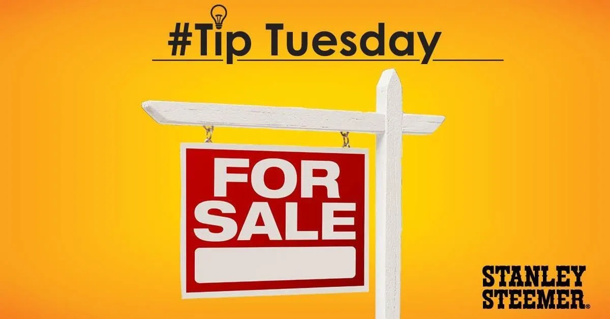 Business 20 image STANLEY STEEMER