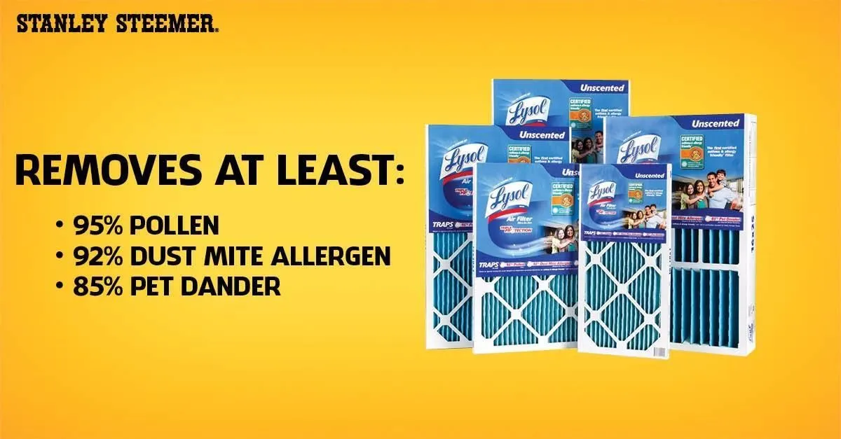 Business 21 image STANLEY STEEMER