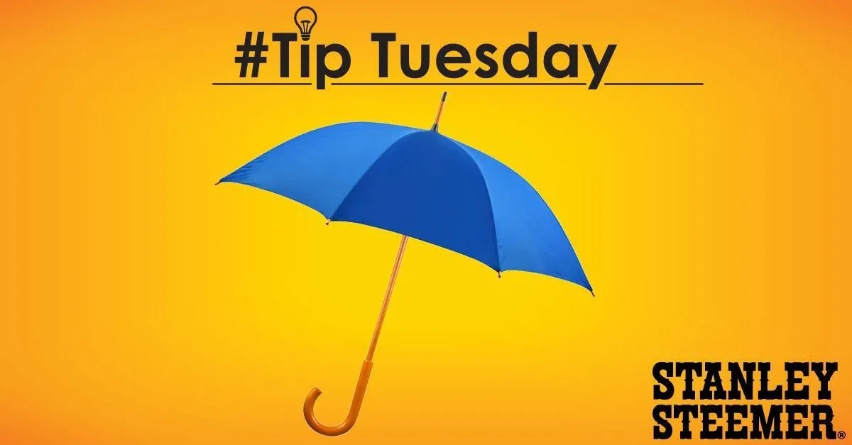 Business 49 image STANLEY STEEMER