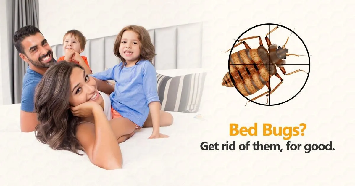 Business 8 image STRUCTURAL TERMITE & PEST CONTROL