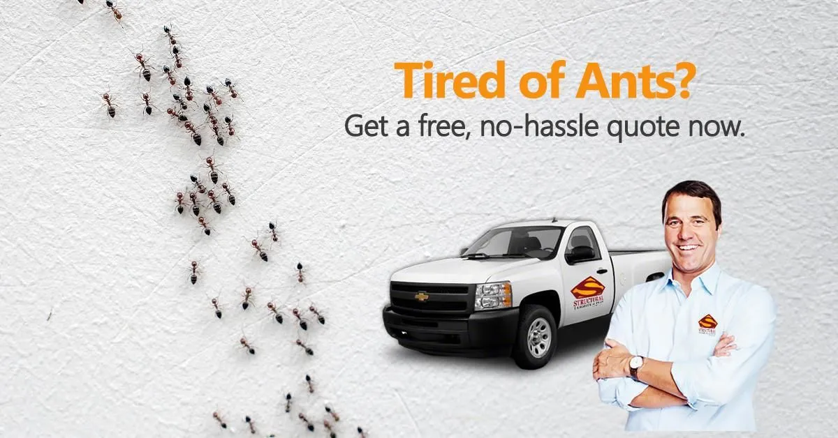 Business 10 image STRUCTURAL TERMITE & PEST CONTROL